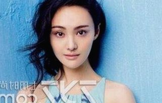探索91网站免费版：提升您的娱乐体验新选择