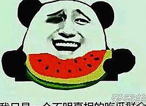 日批视频官方版免费版：娱乐圈最新动向揭秘