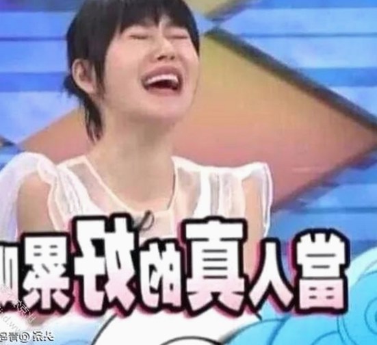 从扬州副市长戴璐事件看ae做片段视频与免费版的现状变化