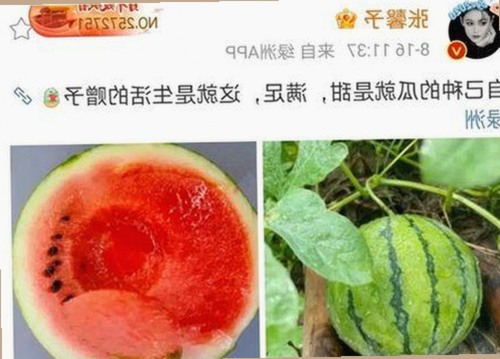 探索小巧🐥伸女生🍑🍑里姿势：从趣味到现实的多面视角