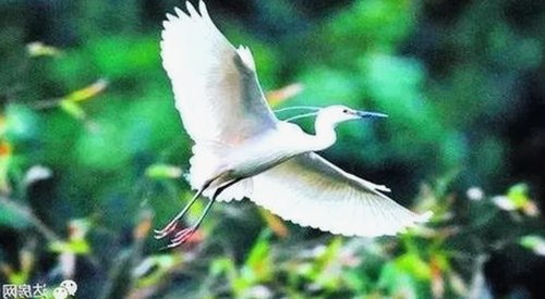 关于一个人在线观看免费高清电视剧的注官方版下载的详细介绍
