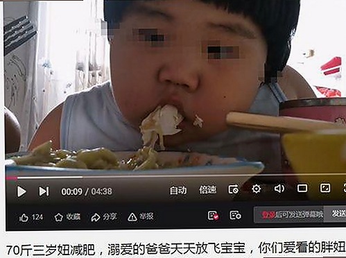 成品网站1688入口的代码体现免费版：从技术到应用的全面解析