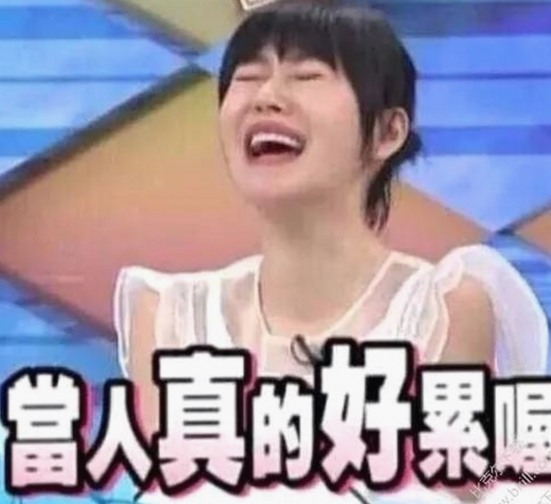 成品网站1688入口的代码体现免费版：从技术到应用的全面解析