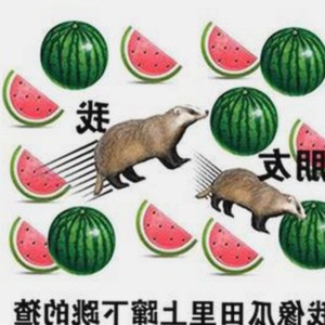 淮安市用户热议：高清🈚码🔞❌♋免91免费版的最新动态