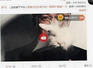 高清乱码🔞❌♋波萝视频免费版现已成为网络关注焦点
