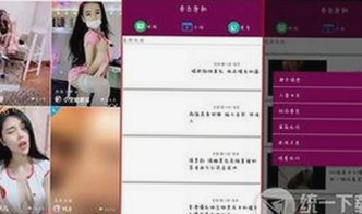 永久mt660与免费版：满足用户多样化需求的选择
