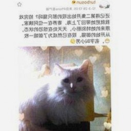 丫丫影院免费高清电视剧观看官方版下载：安全便捷的观影选择