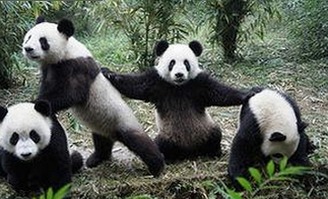 丫丫影院免费高清电视剧观看官方版下载：安全便捷的观影选择