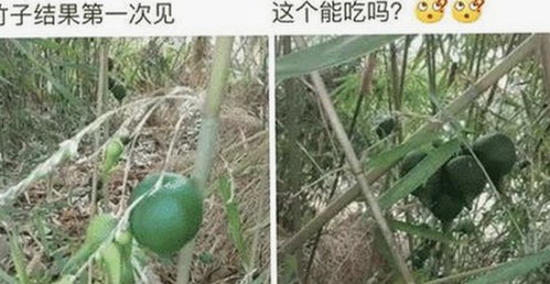 谭松韵推荐免费看mv大片的app官方版下载，享受高清娱乐体验
