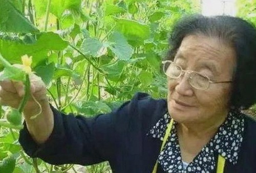 17c在线观看2026最新版：完整体验与最新内容解析