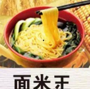 全面解析：91下载官方版及其相关资源介绍