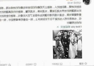 关于菠萝视频官方版正版下载的最新动态及相关资源