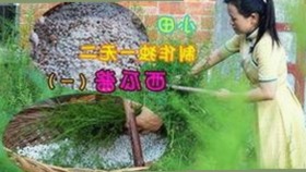 羞羞漫画：了解背后故事及相关资源下载指南