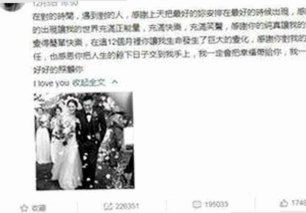 香蕉视频免费版：畅享高清影视体验的最新选择