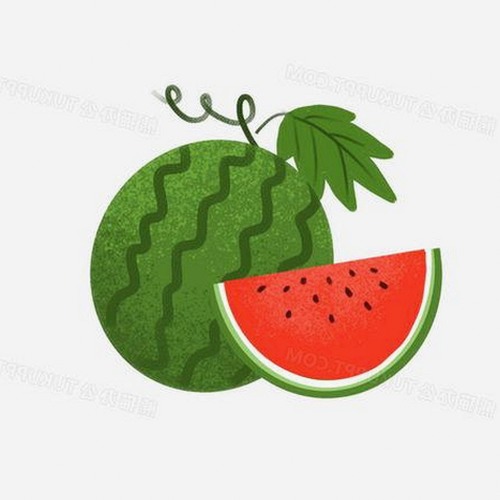 樱花视频官方版正版下载：获取高清影视资源的可靠途径