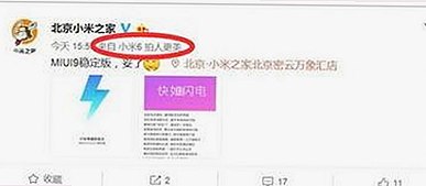 如何快速获取樱花视频安装包下载资源及相关网站指南
