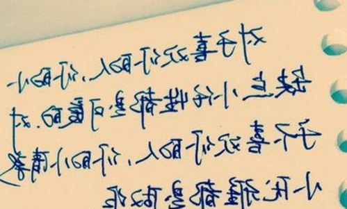 樱花视频官方版：最新影视资源和下载指南解析
