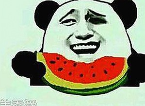 最新版本：www91最新版下载全面解析与推荐