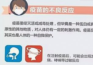 全面解析免费大片官方版免费版的最新发展与应用