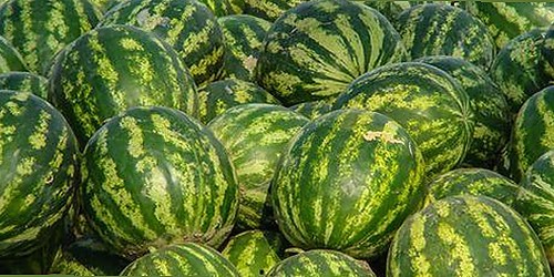 已满十八免费高清完整版电视剧官方版：揭示多平台资源的现状与趋势