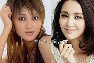 揭秘明星幕后故事：蜜桃网官方免费版带你了解娱乐圈的真实面貌