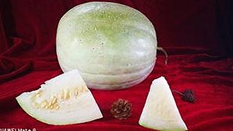 最新免费观看45分钟高清电视的软件官方版下载：畅享高清视听体验