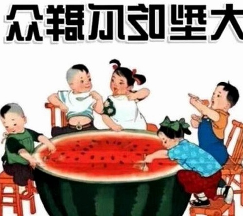 全面解析：91小视频官方版下载免费版及其相关内容