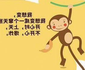 深入了解www91与免费版的最新动态与功能优化