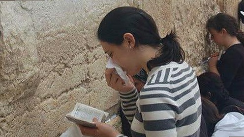 探索快猫官方版：多样资源尽在掌握