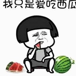 深入分析：91免费版官方版在内容提供中的角色与影响