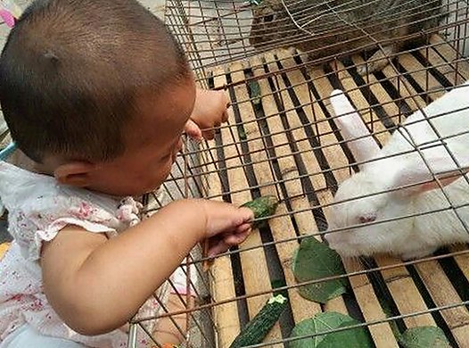 色虎最新版下载：最新资源全方位推荐