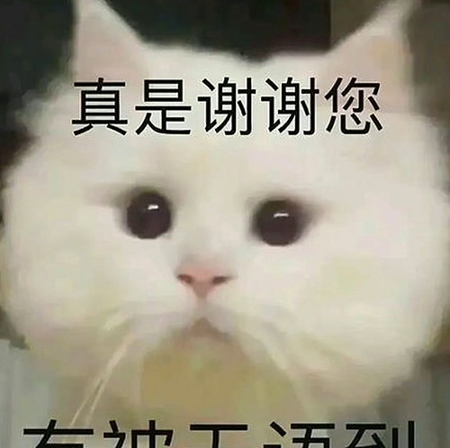 免费黄色免费版：探索更丰富的影视体验新选择