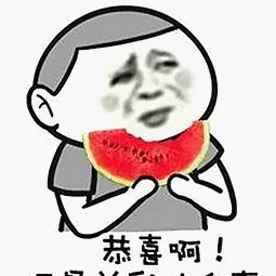 黄页网站官方版：全面介绍与实用指南