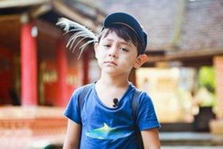 邢台市关注：已满十八免费观看电视剧免费版官方版的最新动态