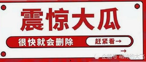 探索高清🈚码🔞❌♋免91：安全又便捷的最新体验