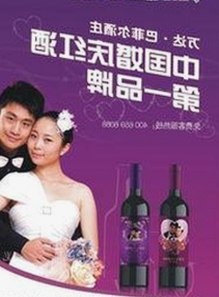 深入了解麻豆视频在线播放官方版及其最新动态