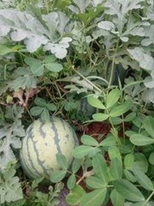 每日大赛24小时爆料最新最新版：掌握第一手资讯的最佳选择