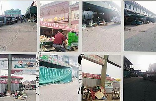 最新成品游戏网站优质资源汇聚，满足你的多样需求