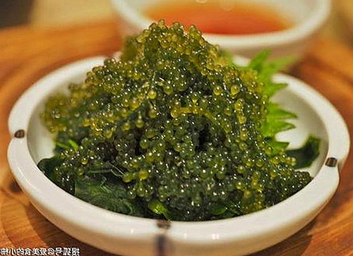 全面解析：樱花视频官方版下载的实用指南与反差体验
