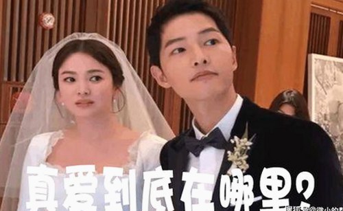 深入解析麻豆视频在线观看官方版的现象与影响