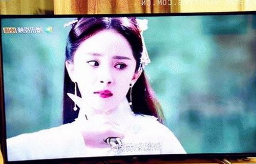全面解析：91看片官方版下载的最新动态与应用场景