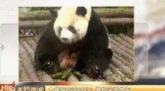 全面解析：www.色😍萝网站17c终极手册及相关资源推荐