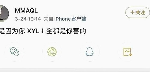 关于蘑菇视频官方版下载的最新动态与发展