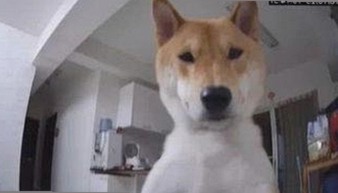 了解17c在线观看免费版：最新观看体验与资源推荐