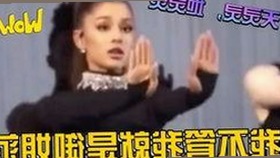 揭秘日批官方版下载：满足多样需求的内容平台