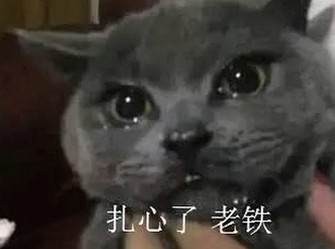 全面解析：如何安全且高效进行啪啪视频官方版下载