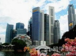 最新消息：如何快速进行菠萝视频安装包下载