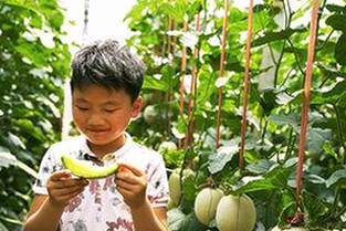 人物聚焦：吉林市小🐔🐔伸进🈲🔞🔞官方版免费版的最新动态