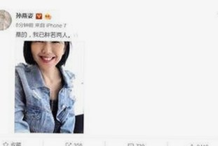 探索91免费版：下载体验与热门资源一览