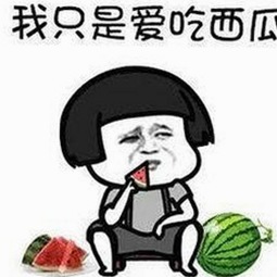 最新免费91免费版上线，探索多款官方版应用现状